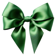 Wall Mural - PNG Elegant green satin gift bow