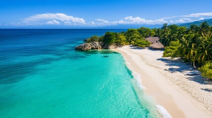 Wall Mural - Tropical beach with turquoise water and white sand meeting lush vegetation in a sunny day