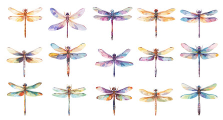Watercolor dragonflies. Colorful insects with wings, summer spring fly bug, nature decoration set vector illustration