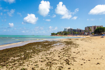 Wall Mural - Alagoas