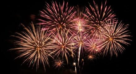 Poster - Fireworks Display: A vibrant display of fireworks illuminates the night sky, featuring bursts of color and intricate patterns, capturing the celebratory atmosphere of a special event.