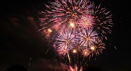 Poster - Fireworks at Night: Vibrant fireworks explode in a dazzling display against the night sky. The burst of colors and patterns creates a festive and celebratory atmosphere.