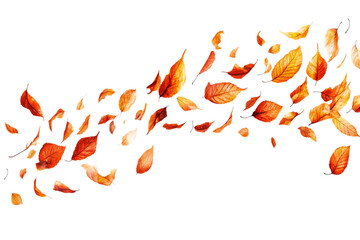 Wall Mural - autumn leaves swirling in the gentle breeze