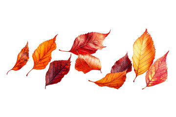 Wall Mural - autumn leaves on white background