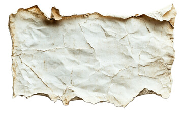 Wall Mural - old crumpled parchment with a rustic texture