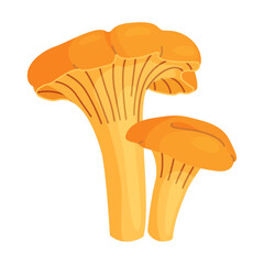 Wall Mural - Fresh chanterelle mushrooms Hand drawn trendy flat style isolated icon. Edible fungi chanterelle, Yellow mushrooms. Vector illustration