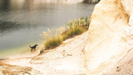 Wall Mural - St Bathans New Zealand white clay cliffs beautiful landscape lake alien scenery