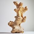© Lui Shtein - Organic ginger root on light gray background: natural structure and texture