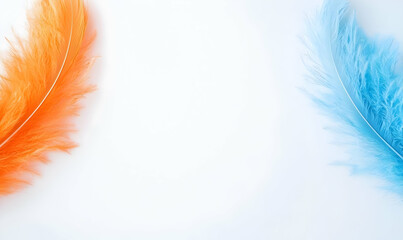 Poster - Vibrant Feather Duo, a close-up view showcasing the intricate patterns and vivid colors of two beautifully detailed feathers.