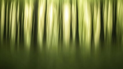 Wall Mural - Abstract blurred forest, green trees, nature background.