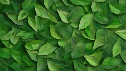 Aufkleber - A vibrant arrangement of green leaves, showcasing various shapes and shades, creating a natural and lush textured background.