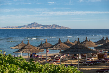 Poster - Relaxing beach atmosphere in Egypt with straw umbrellas and a distant island view
