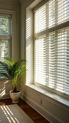 Poster - A window with white blinds and a potted plant in front of it. The plant is a palm tree