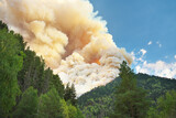 natural disaster of fire in mountain forest