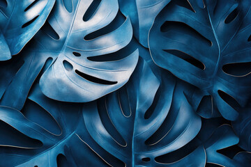 Poster - Close-up view of vibrant blue Monstera deliciosa leaves, showcasing their unique texture and shape.