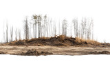 Barren Landscape: A desolate landscape of dry earth, with a cluster of bare trees on a small hill, evokes a sense of environmental change or struggle.