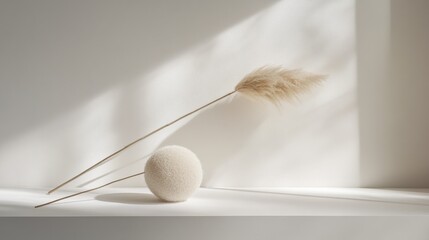 Poster - Minimalist arrangement of a soft sphere and a dried flower against a light background
