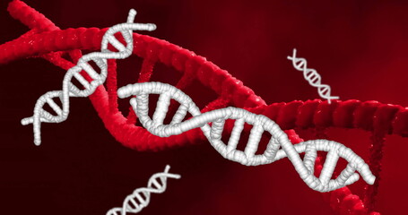 Poster - image of dna strands spinning over red background
