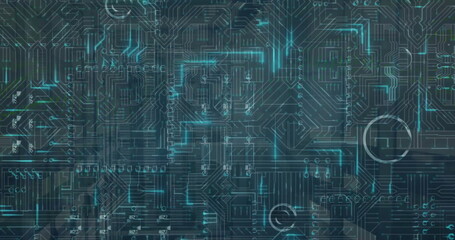 Wall Mural - image of circuit board and digital data processing over computer servers