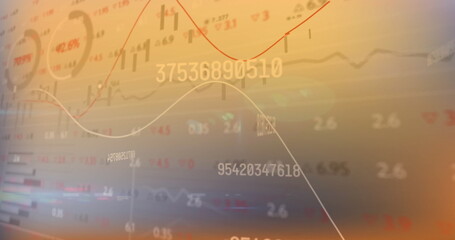 Wall Mural - image of data processing over diagrams and stock market