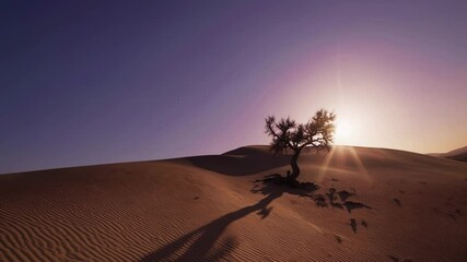 Poster - Hypnotic Desert Serenity