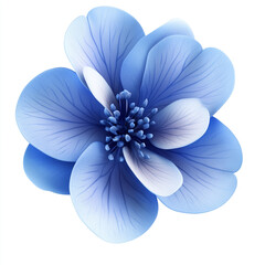 Poster - Beautiful flower with stunning blue petals & white details. An illustration displaying intricate design and soft lighting. Perfect for decoration.