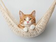 © Natalia - pet tech smart homes for pets comfort. A sleek pet hammock with motion sensors and adjustable positioning for ergonomic support and comfort