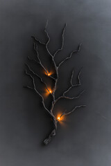 Wall Mural - Minimalist black backdrop featuring a sculptural, leafless branch accented by incandescent fairy