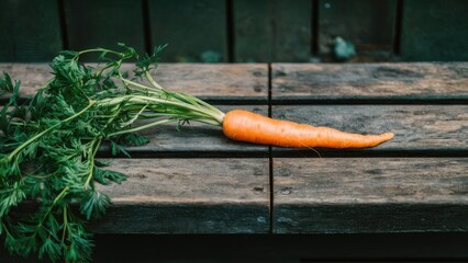 Sticker - Single orange carrot with green leaves lying horizontally on weathered wooden bench surface against a dark background featuring natural textures.