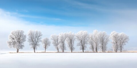 Aufkleber - Frosted trees stand tall against a clear blue sky, lined along a snow-covered field, creating a serene winter landscape with a tranquil atmosphere.