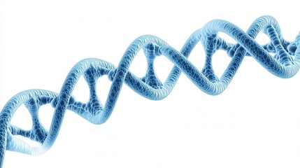 Poster - DNA contributes to its ability to store vast amounts of information efficiently and stably
