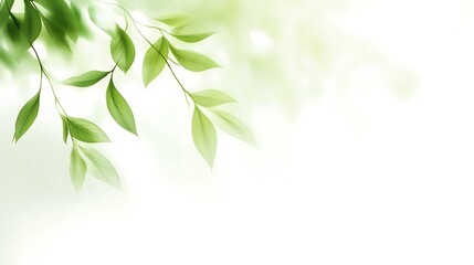 Poster - A graceful green plant branch displays its many vibrant green leaves