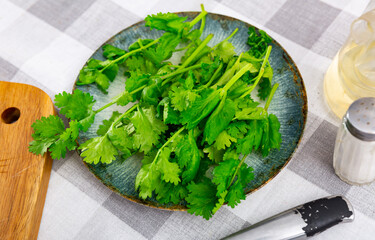 Pile of fresh green cilantro on table. Preparing of food concept.