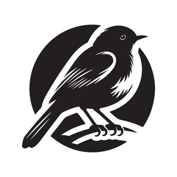 Robin bird Silhouette Vector Illustration, Solid White Background.