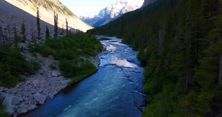 Poster - Blue River Flowing Through Green Forest And Mountains With Sunlight Lighting Natural Scene