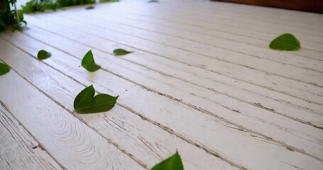 Aufkleber - Green Leaves Scattered on a White Wooden Floor with Blurred Background in Daytime