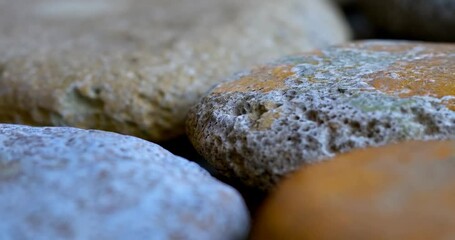 Poster - Close-up view of smooth stones in muted tones with slight color variations in focus the blurred background