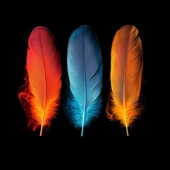 Poster - Contours of multicolored feathers in smoke against a black backdrop, forming a magical and fantastical background, making for a uniquely beautiful wallpaper