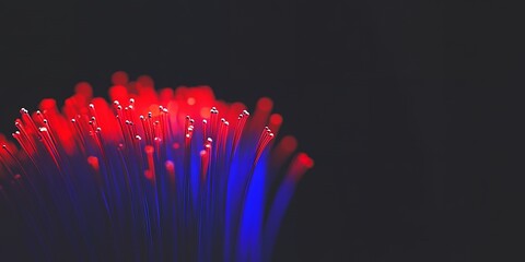 Poster - Abstract Red Blue Fiber Optics Light Streaks Background Image