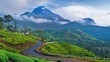 © Nata - Mountains under mist in the morning Amazing nature scenery form Kerala God's own Country Tourism and travel concept image, Fresh and relax type nature image