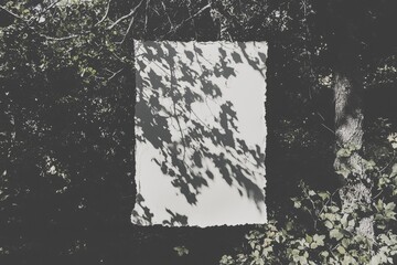 Poster - three empty white rectangle poster mockups with soft shadows are positioned on a neutral light grey 