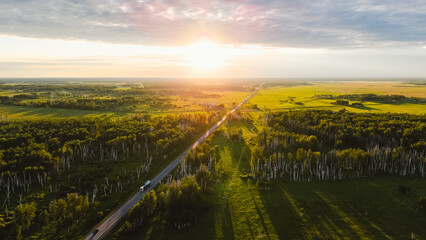 Wall Mural - Cars drive along a highway surrounded by birch trees in Siberia at sunset