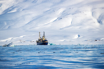 Wall Mural - icebreaker at anchor in the arctic waters of svalbard, a norwegian archipelago between mainland norw