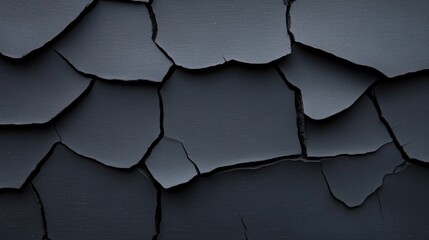 Poster - capture close-up of weathered monochrome surface showcasing its intricate textures and patterns