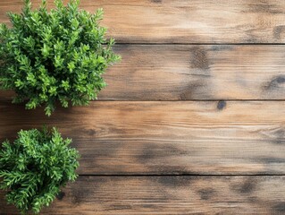 Poster - Rustic wooden background with two green potted plants creating a natural and organic feel with a top down angle