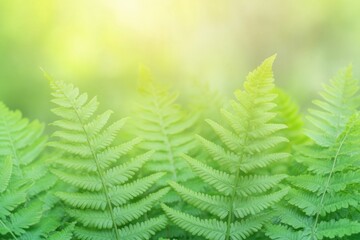 Poster - vibrant close-up photo of green fern in national park highlights mesmerizing patterns and textures