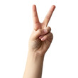 © KC.STUDIO - female hand showing victory sign,  isolated on transparent background