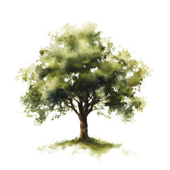 Poster - Watercolor illustration of a majestic tree on a black background