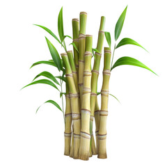 Poster - Fresh Sugarcane Stalks with Green Leaves on Black Background Photography