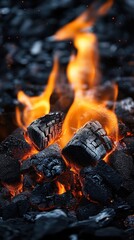 Poster - Fiery Glow of Burning Charcoal Embers Igniting with Intense Heat for Barbecue Grill Preparation and Outdoor Cooking Adventure